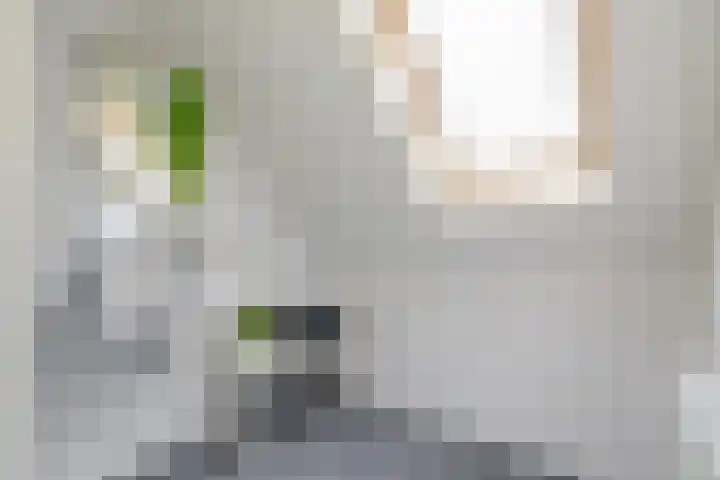 Ringdijk 86 Bemmel thumbnail 49