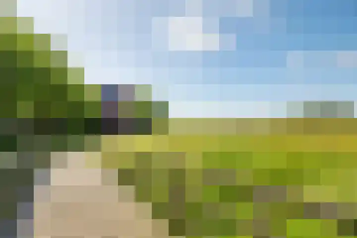 Ringdijk 86 Bemmel thumbnail 52