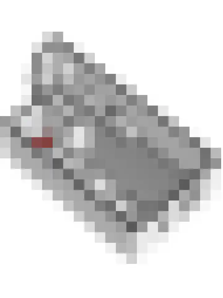 Ringdijk 86 Bemmel thumbnail 55