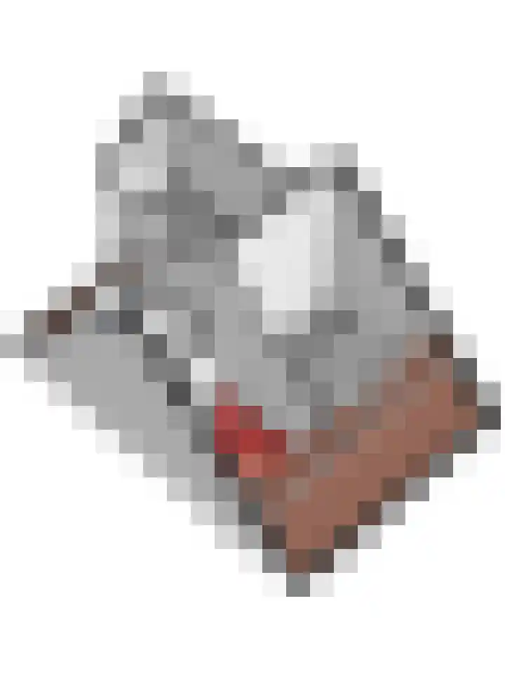 Ringdijk 86 Bemmel thumbnail 61