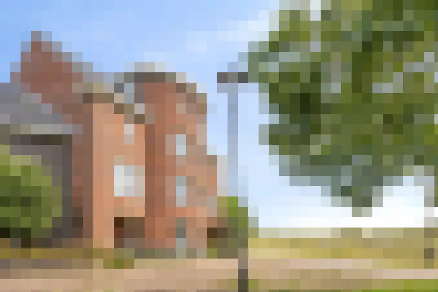 Ringdijk 88 Bemmel thumbnail 36