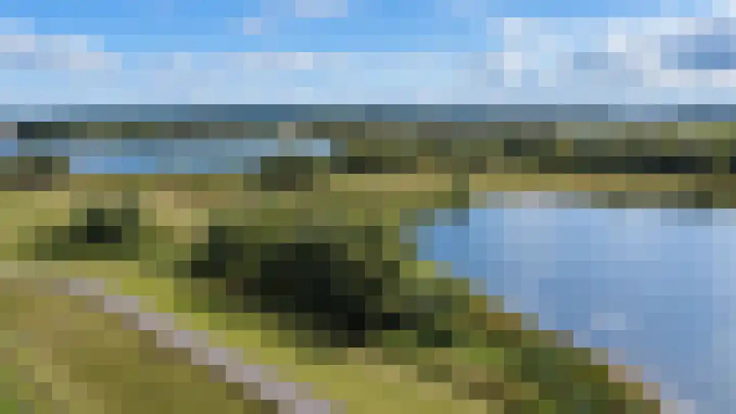Ringdijk 88 Bemmel thumbnail 41