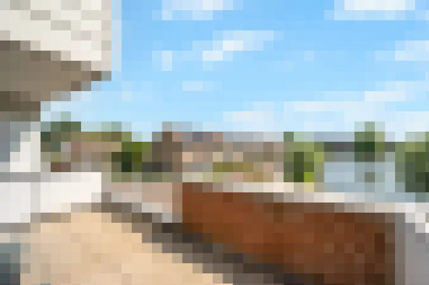 Ringdijk 90 Lelystad thumbnail 19