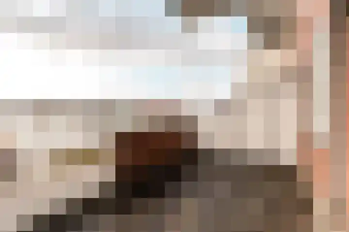 Ringdijk 94 Lelystad foto 3