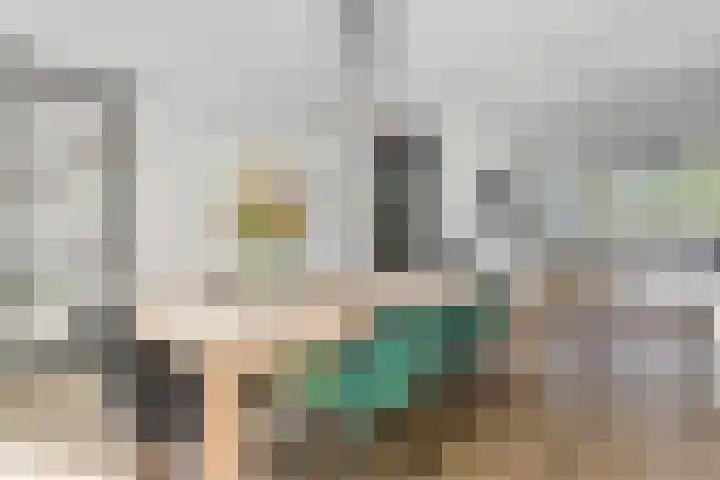 Ringdijk 96 Bemmel thumbnail 11