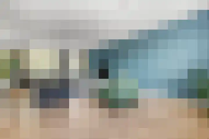 Ringdijk 96 Bemmel thumbnail 16