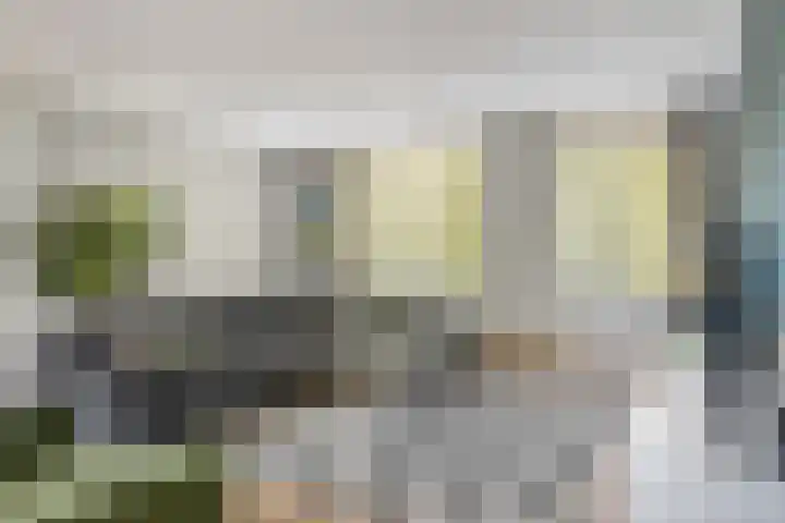 Ringdijk 96 Bemmel thumbnail 17