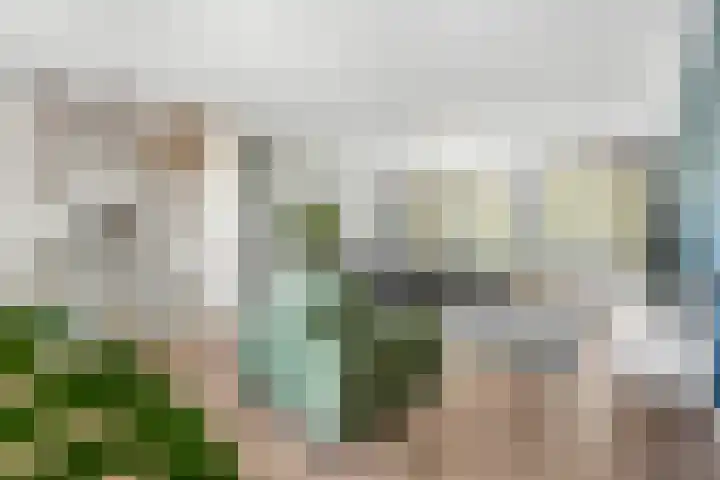 Ringdijk 96 Bemmel thumbnail 18