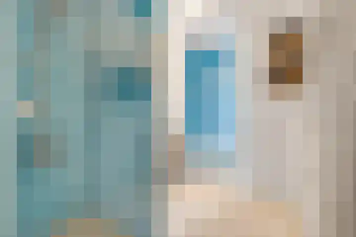 Ringdijk 96 Bemmel thumbnail 28