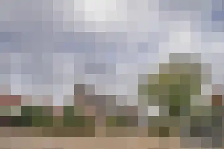 Ringdijk 96 Bemmel thumbnail 29