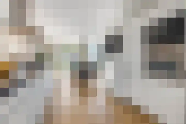 Ringdijk 96 Bemmel foto 3