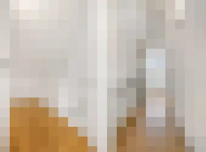 Ringdijk 96 Bemmel thumbnail 34