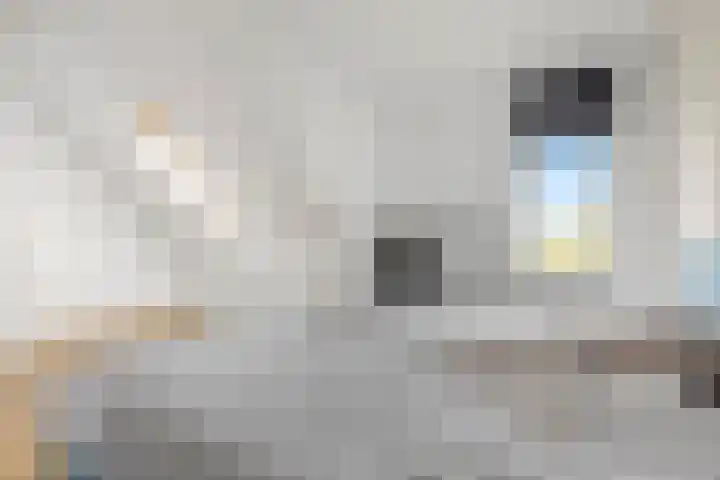 Ringdijk 96 Bemmel thumbnail 38