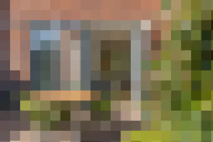 Ringdijk 96 Bemmel thumbnail 45