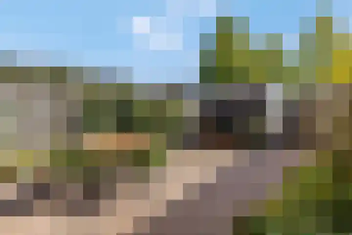 Ringdijk 96 Bemmel thumbnail 46