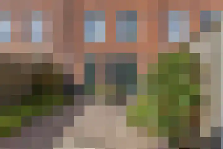 Ringdijk 96 Bemmel thumbnail 47