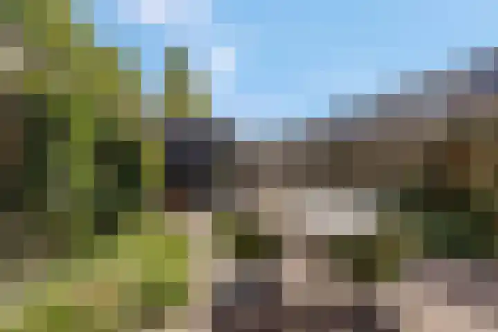 Ringdijk 96 Bemmel thumbnail 48