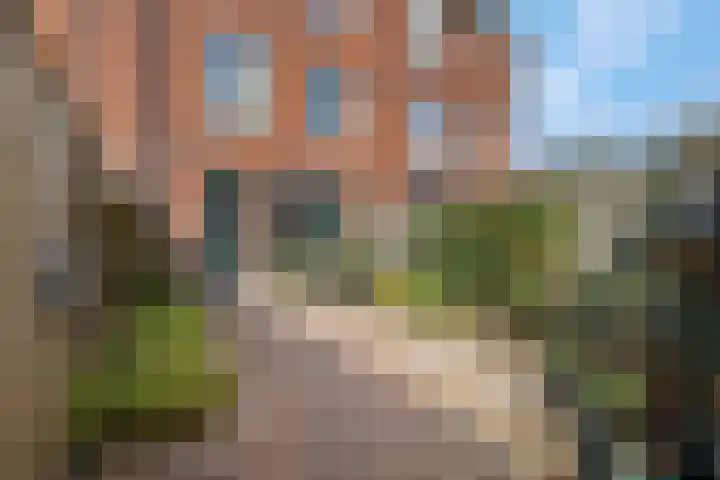 Ringdijk 96 Bemmel thumbnail 49