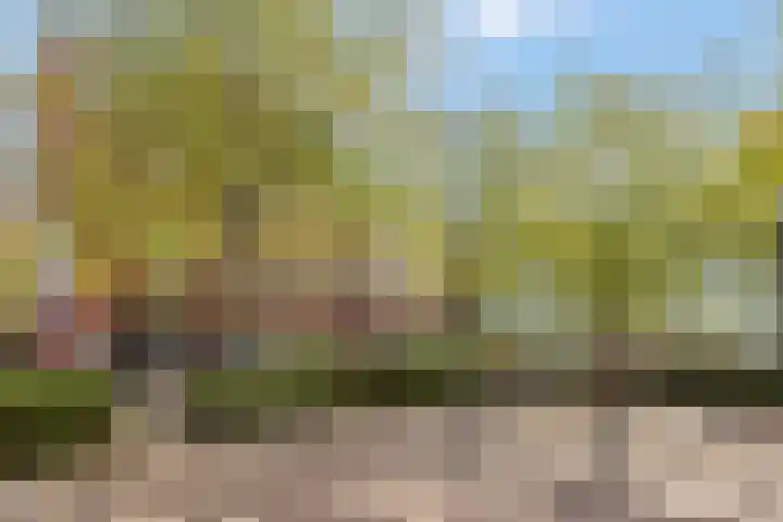 Ringdijk 96 Bemmel thumbnail 52