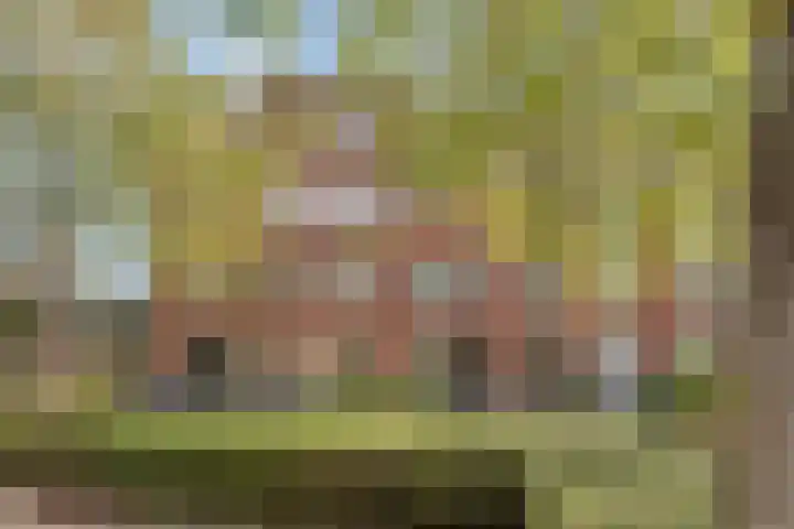 Ringdijk 96 Bemmel thumbnail 53