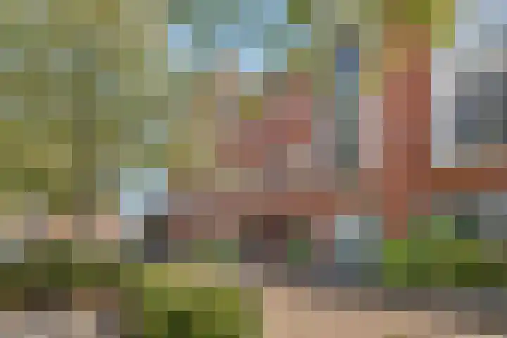 Ringdijk 96 Bemmel thumbnail 54