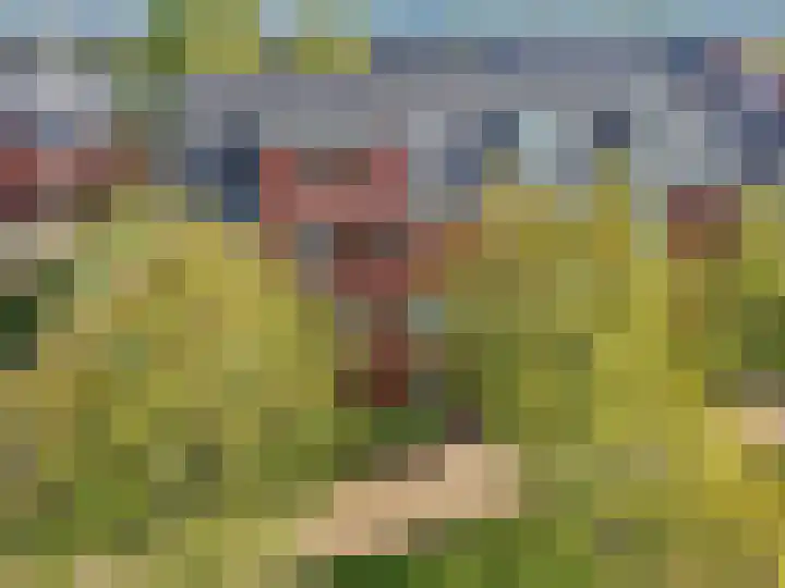 Ringdijk 96 Bemmel thumbnail 55