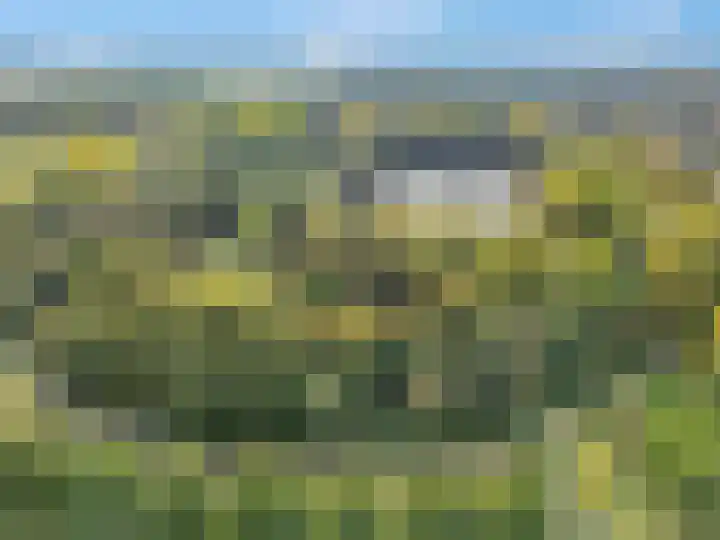 Ringdijk 96 Bemmel thumbnail 56