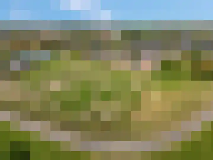 Ringdijk 96 Bemmel thumbnail 58