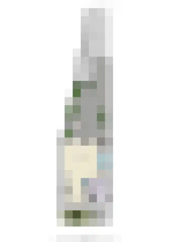 Ringdijk 96 Bemmel thumbnail 64