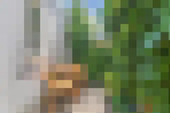 Ringdijk 96 Bemmel thumbnail 8