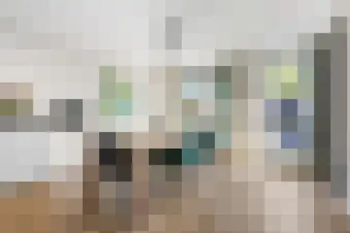 Ringdijk 96 Bemmel thumbnail 9