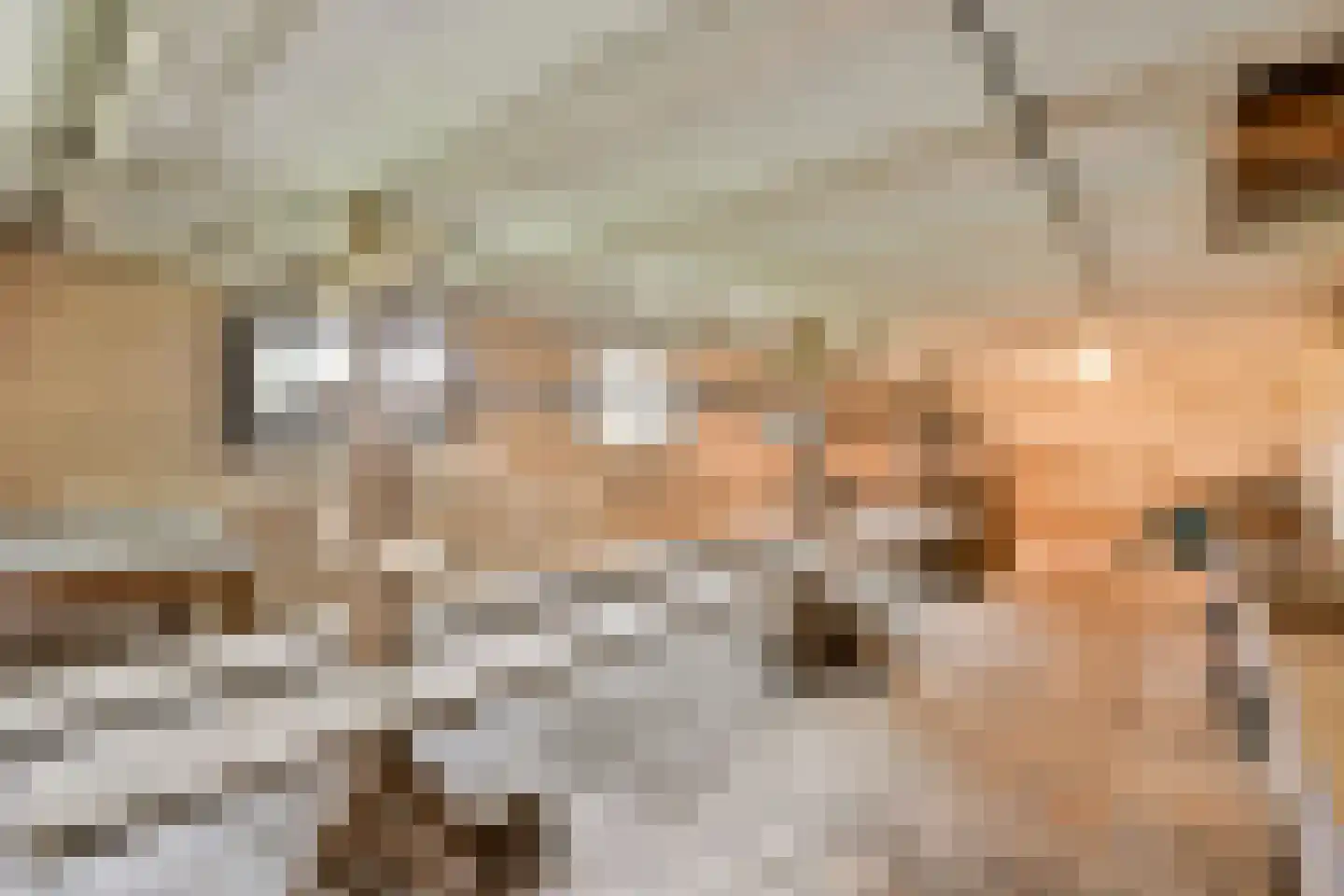 Ringdijk BP 1 Amstelveen thumbnail 13