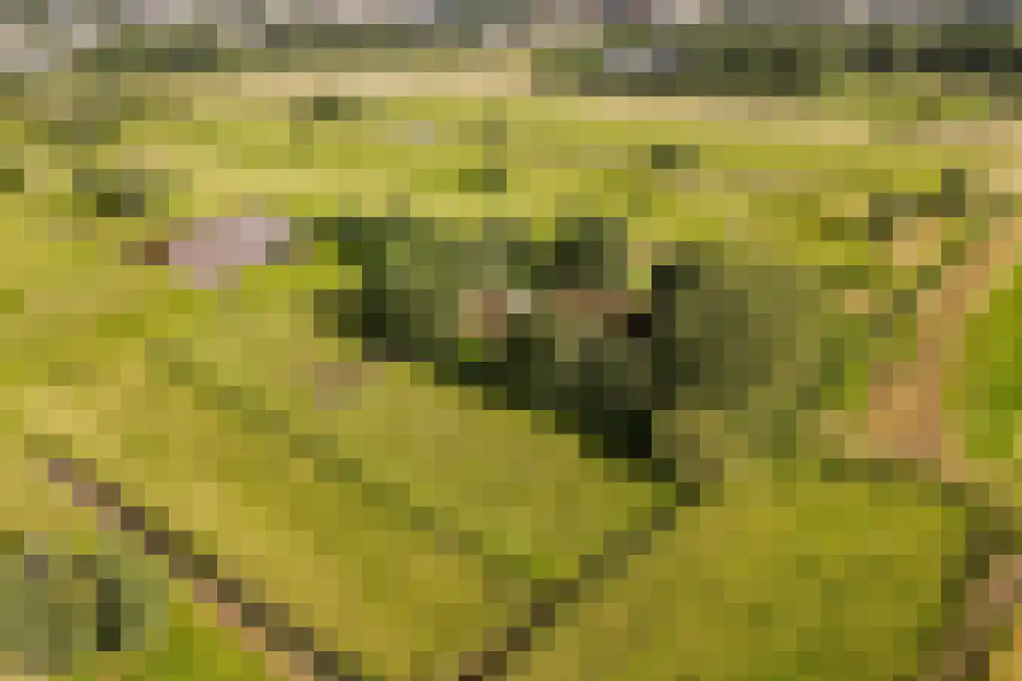 Ringdijk BP 1 Amstelveen thumbnail 26