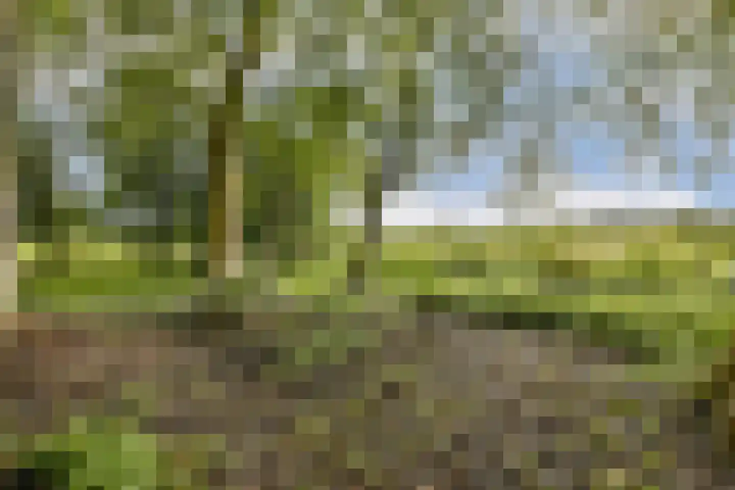 Ringdijk BP 1 Amstelveen thumbnail 28