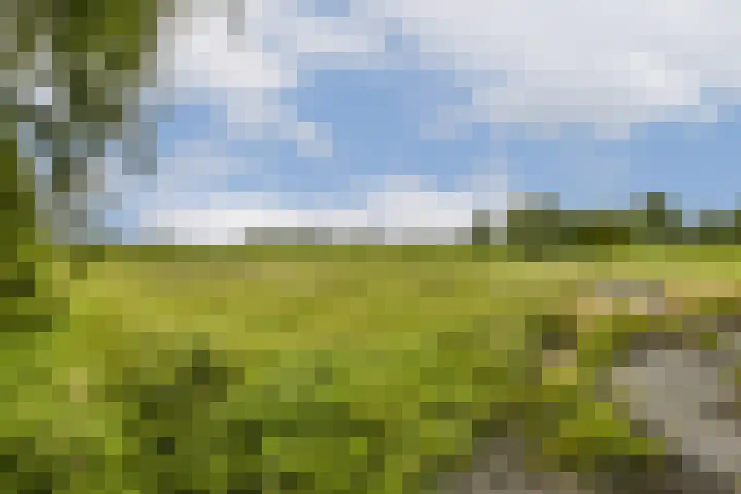 Ringdijk BP 1 Amstelveen thumbnail 29