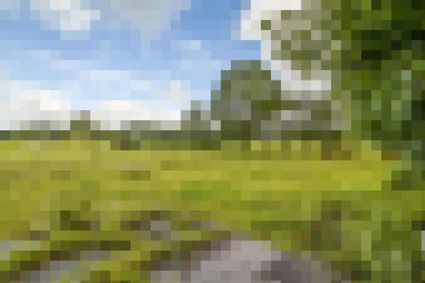 Ringdijk BP 1 Amstelveen thumbnail 31