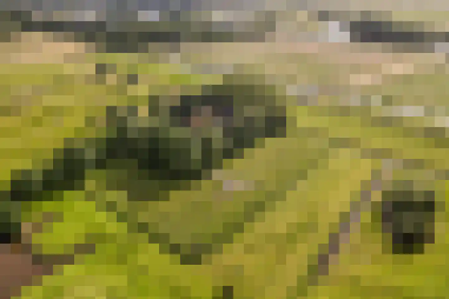 Ringdijk BP 1 Amstelveen thumbnail 34