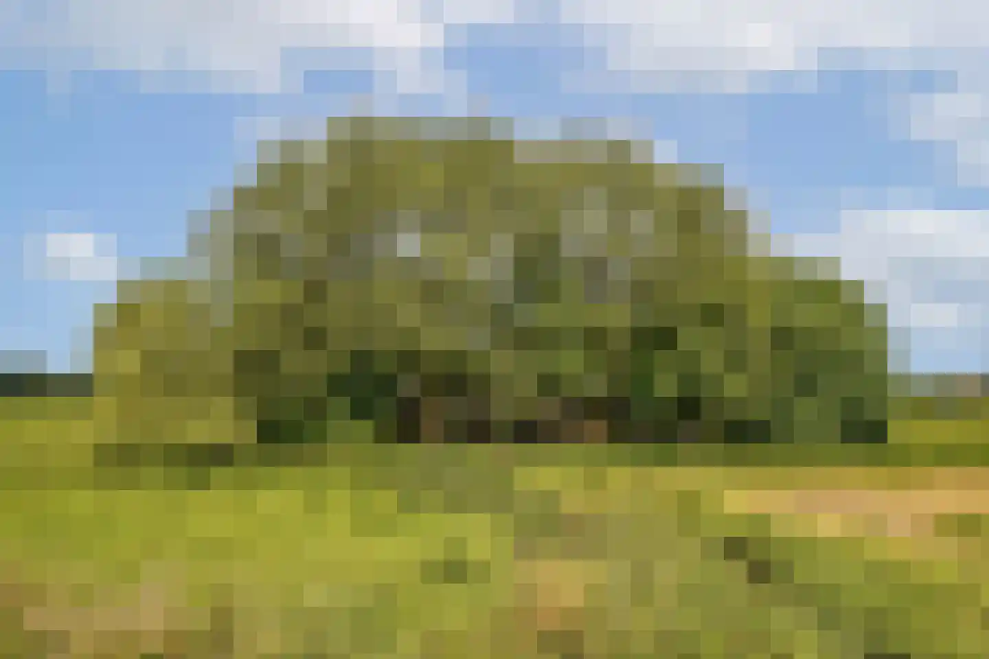 Ringdijk BP 1 Amstelveen thumbnail 35