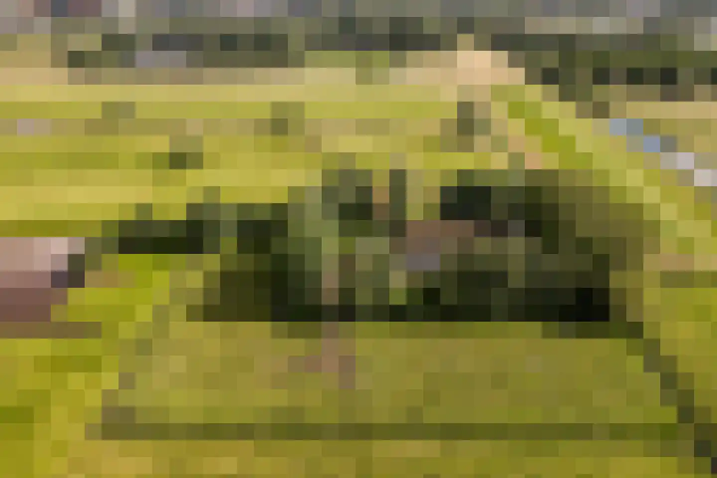 Ringdijk BP 1 Amstelveen thumbnail 36