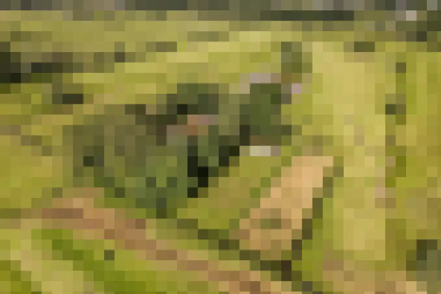 Ringdijk BP 1 Amstelveen thumbnail 38