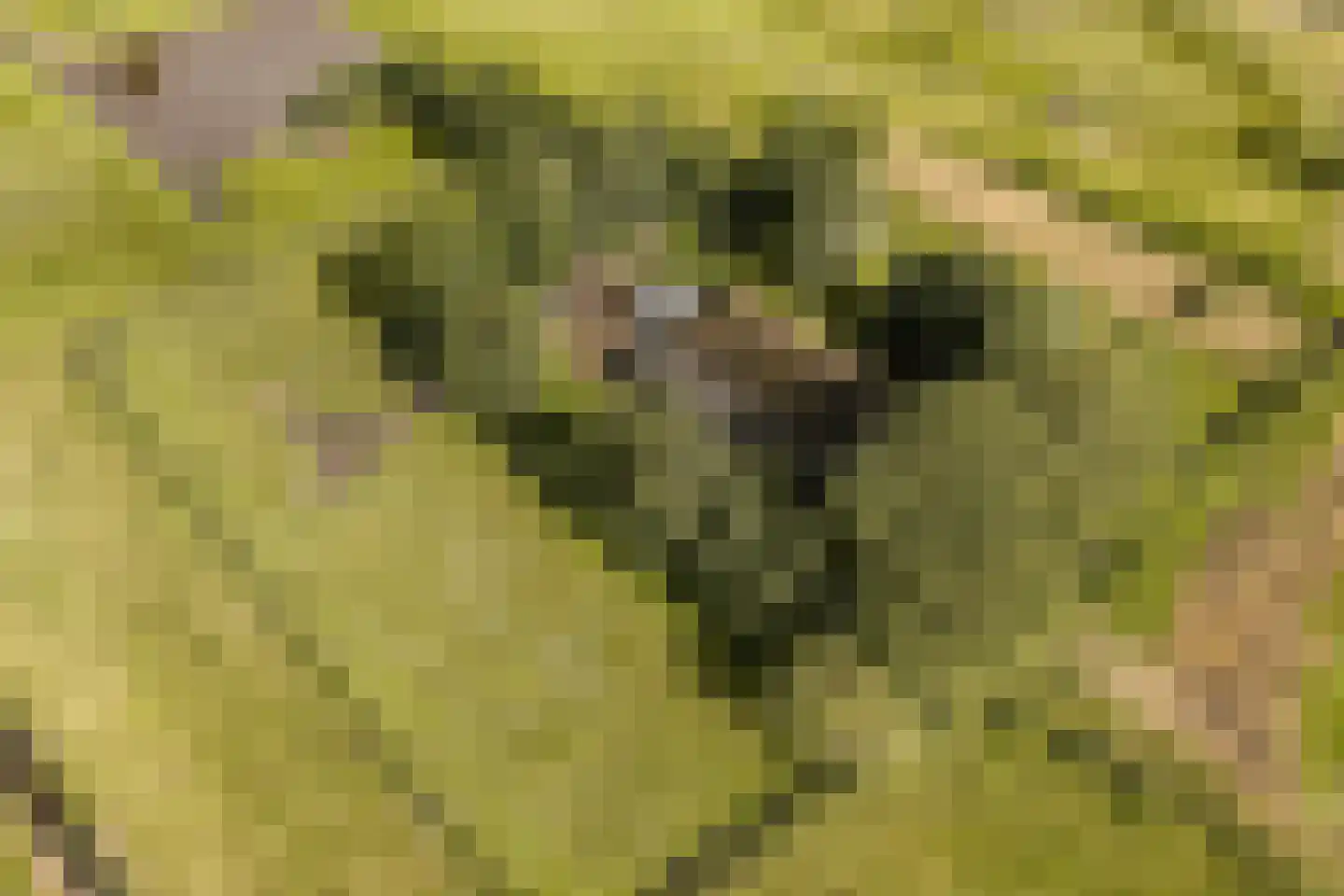 Ringdijk BP 1 Amstelveen thumbnail 39