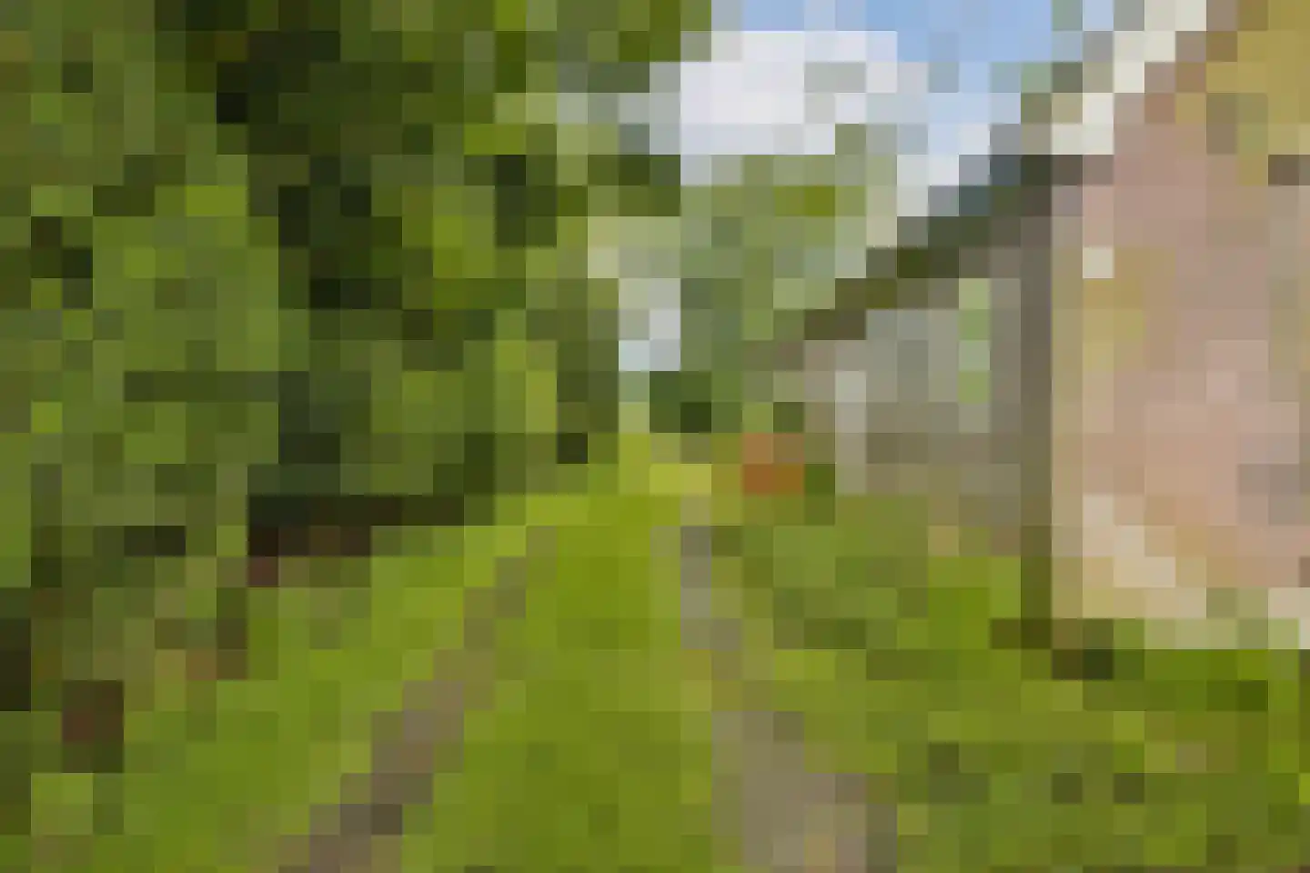 Ringdijk BP 1 Amstelveen thumbnail 5