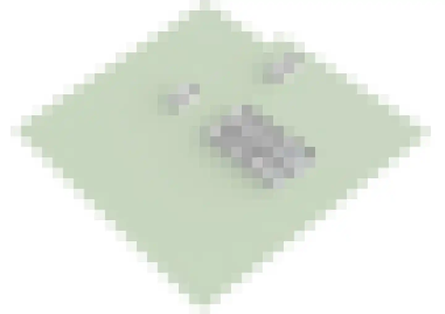 Ringdijk BP 1 Amstelveen thumbnail 53