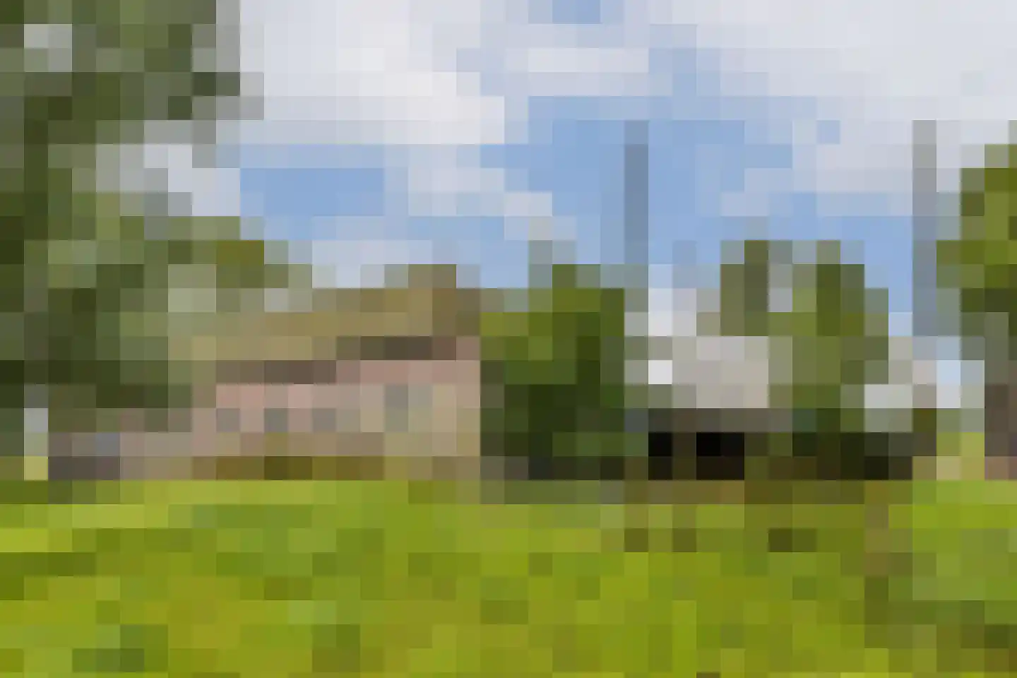 Ringdijk BP 1 Amstelveen thumbnail 7