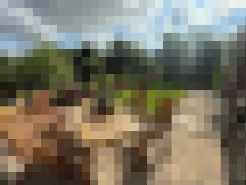 Ringdijk BP 23 Amstelveen thumbnail 5