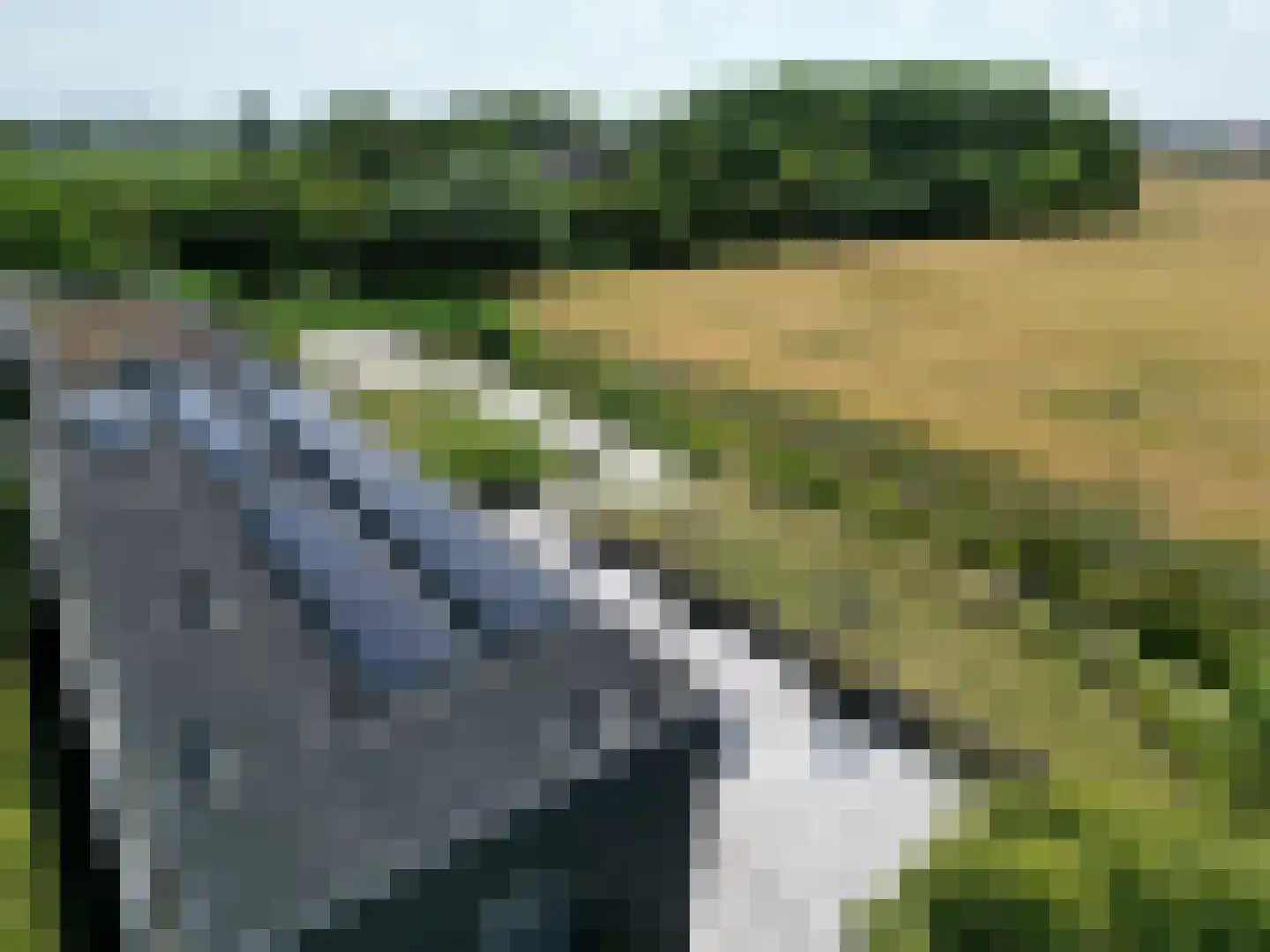 Ringdijk Noord 22 A Cadzand thumbnail 13