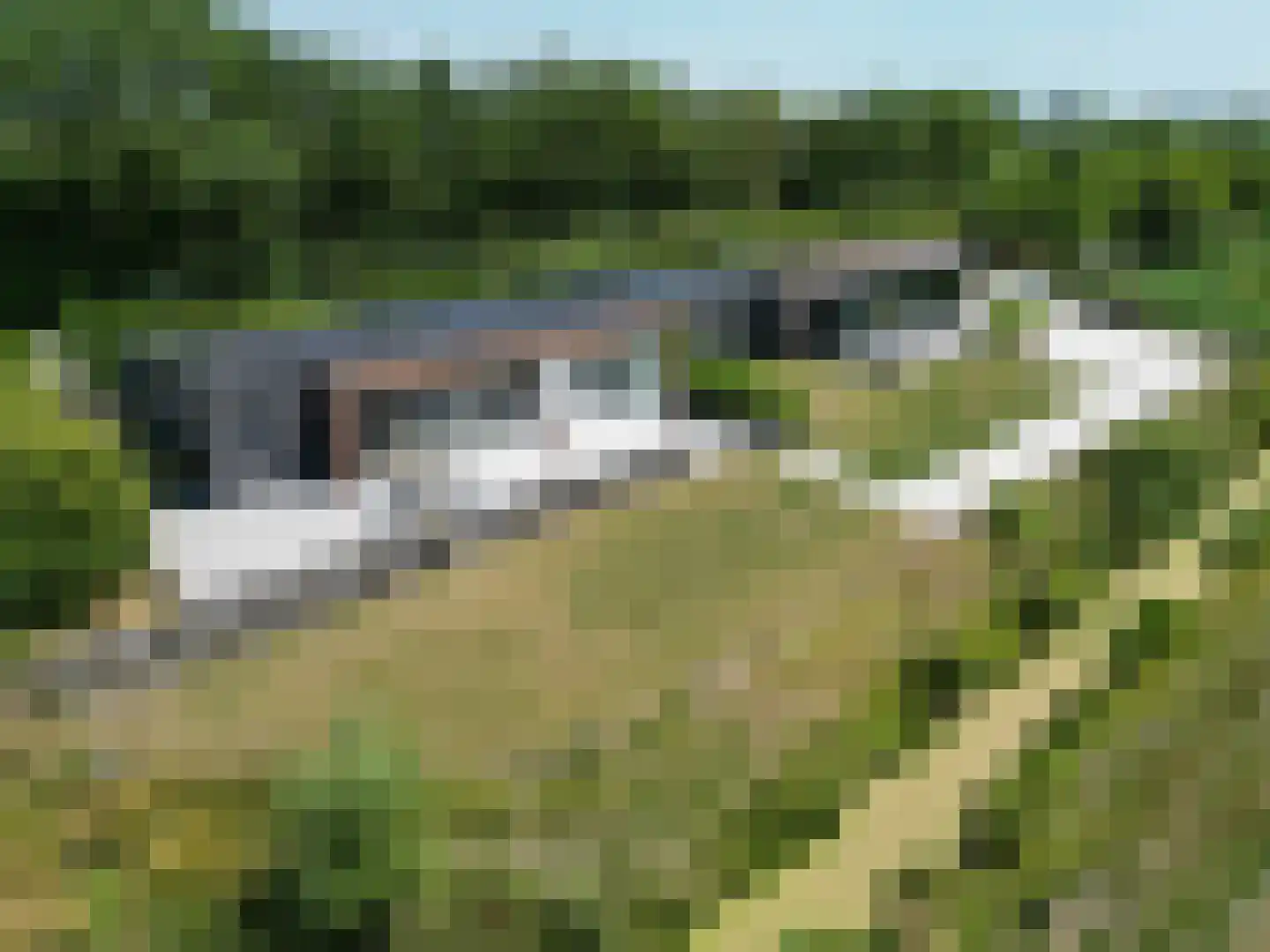 Ringdijk Noord 22 A Cadzand thumbnail 50