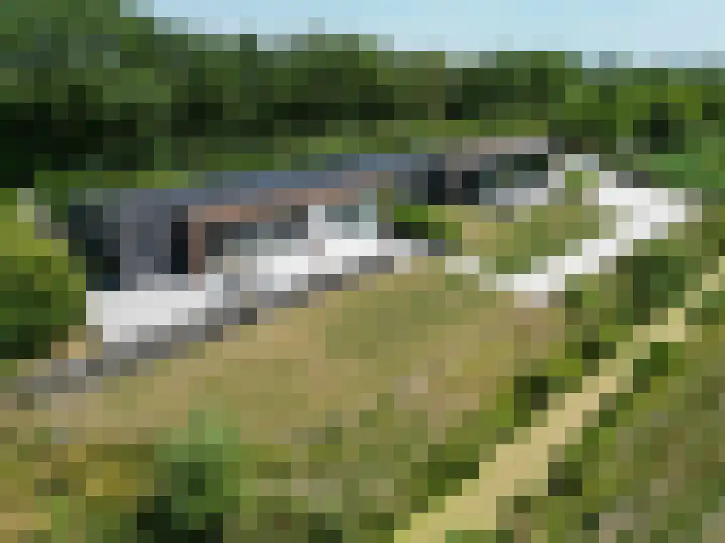Ringdijk Noord 22 A Cadzand thumbnail 50