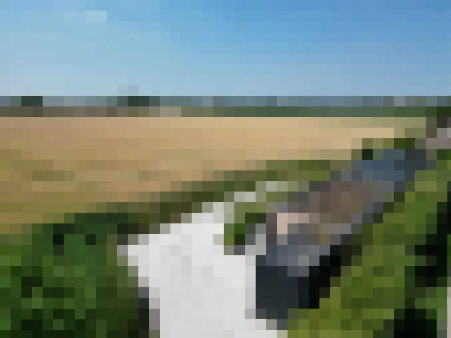 Ringdijk Noord 22 A Cadzand thumbnail 7