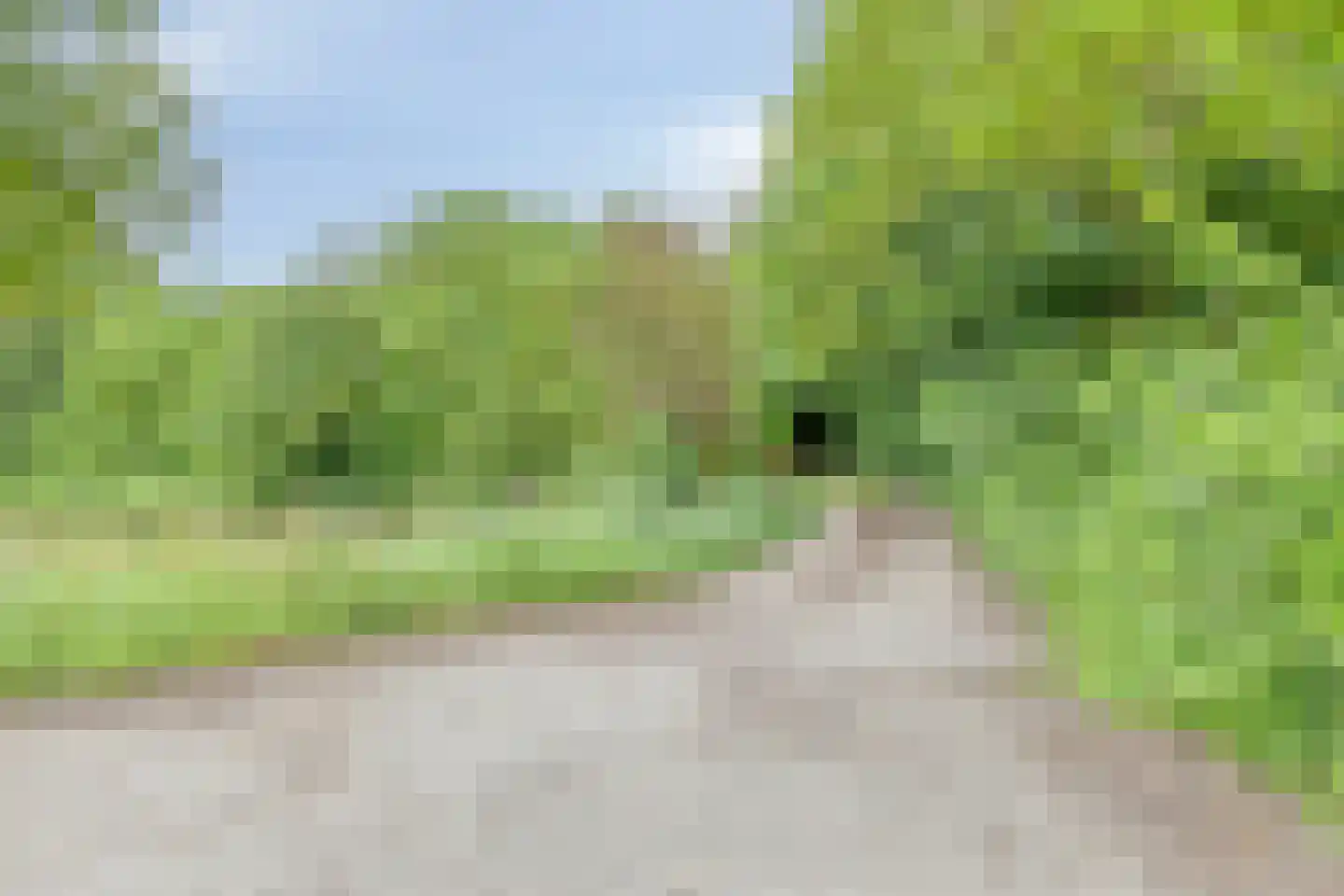 Ringdijk Zuid 20 Cadzand thumbnail 5
